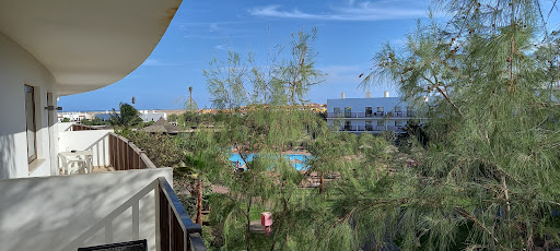 Photo from customer review